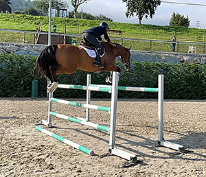 horsebackriding jumping afines